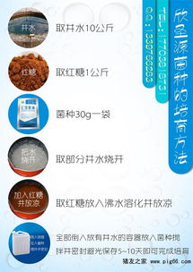 养鸭发酵床技术推广与菌种零售服务