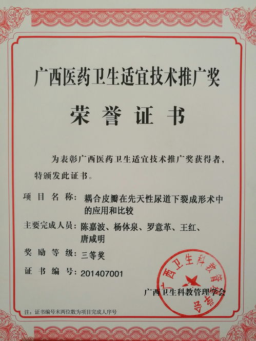 基层医疗的创新力量 广西壮族自治区医药卫生适宜技术推广奖三等奖的启示